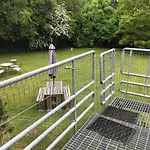 Willow Down